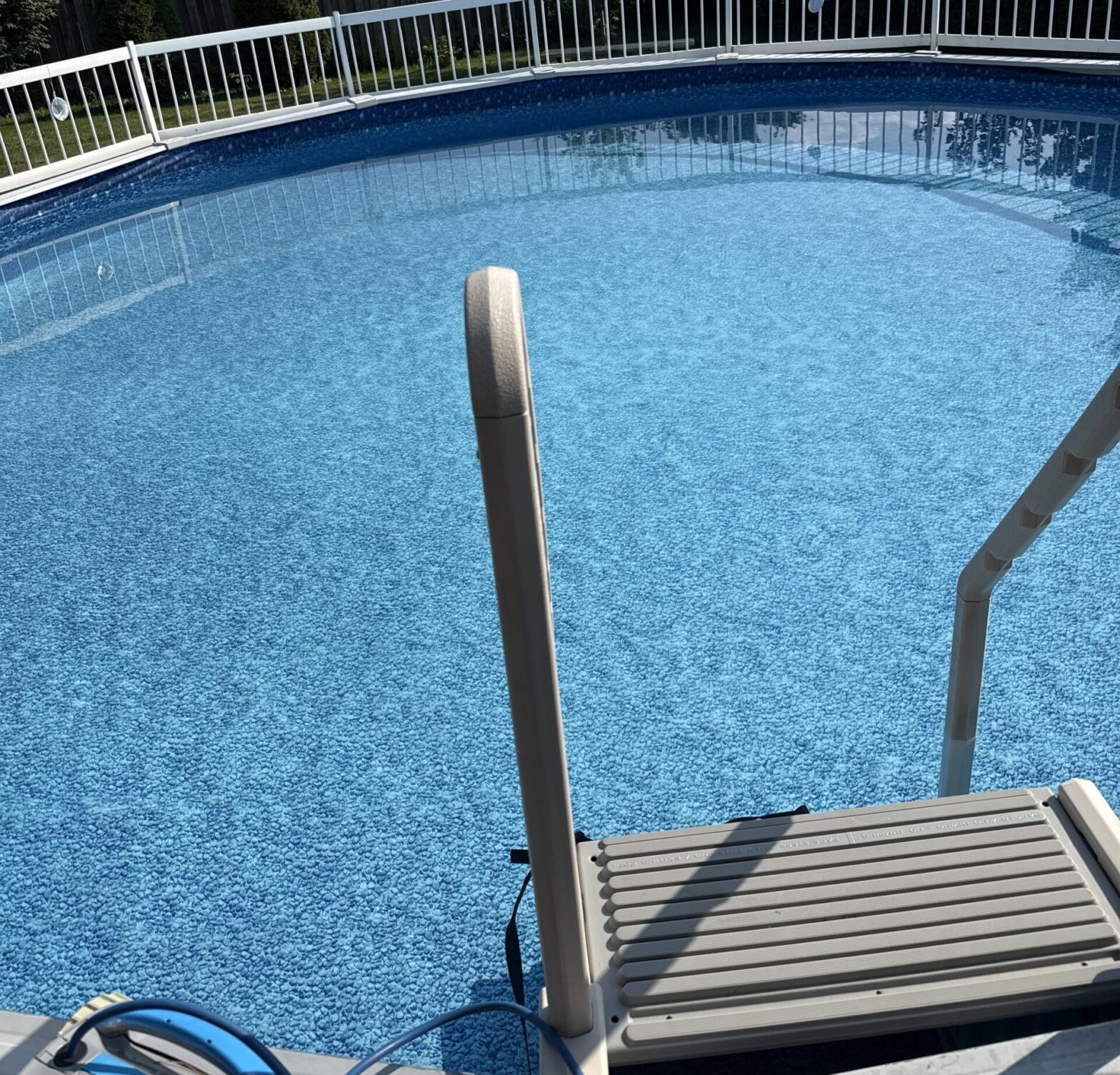 Clear blue above-ground pool water with a pool ladder and backyard fence on a sunny day.