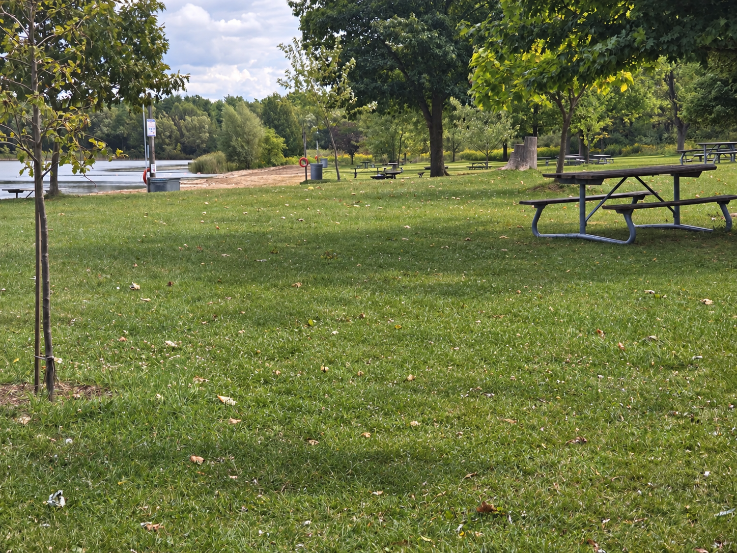 Conservation area with a lake, grassy picnic area, trees, and picnic tables