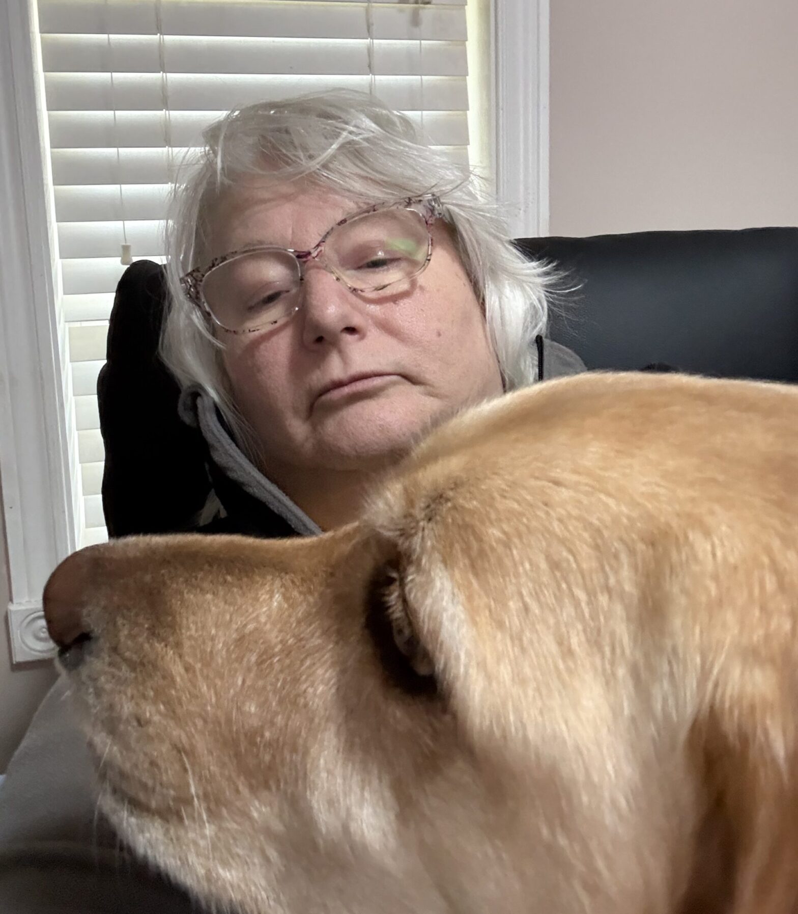 Piper, my yellow Labrador, cuddling with me during Week 6 of my hip replacement recovery